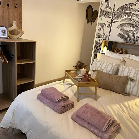 Appartement Lerelaisdodile - Confort - Proche Hopital - Ideal Couple & Travailleur- Acces Autoroute Rapide Valenciennes