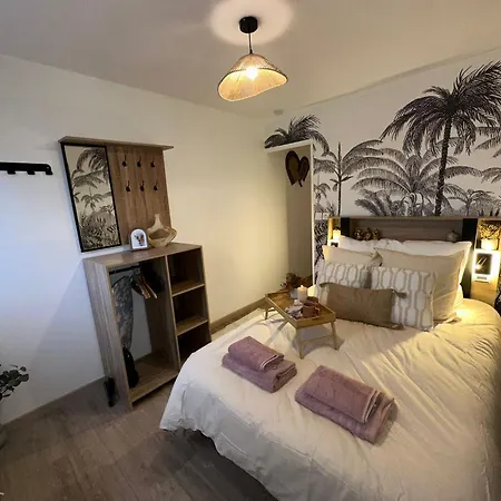 דירה Lerelaisdodile - Confort - Proche Hopital - Ideal Couple & Travailleur- Acces Autoroute Rapide ואלנסיין